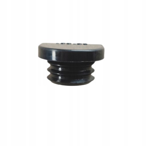KOREK WLEWU OLEJU AIXAM 400 721 SCOUTY CITY COUPE CROSSLINE KUBOTA Z402